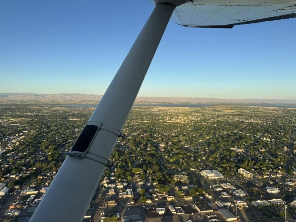 Wing strut over a tree-lined town in evening light
